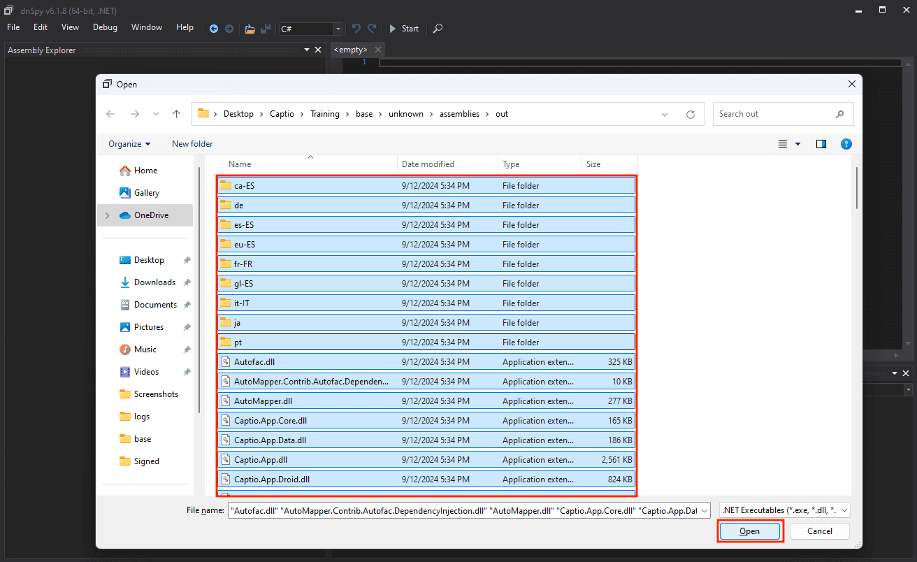 DNSPY selecting dlls