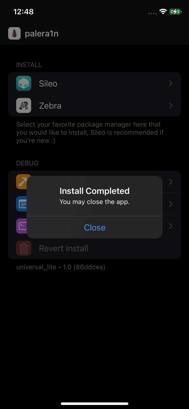 Open Palera1n app