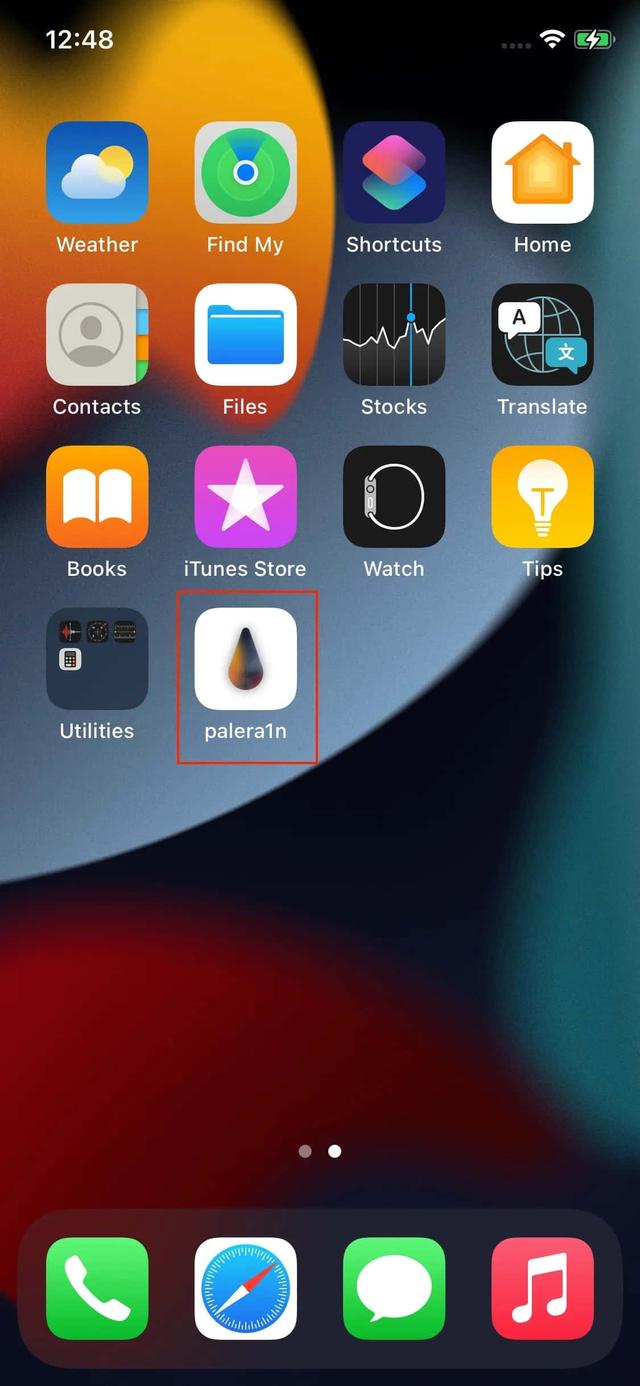 Open Palera1n app