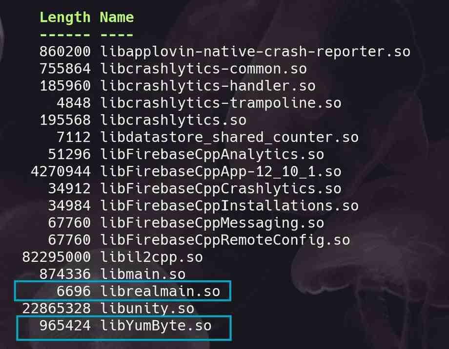 Figure 8: Modded APK libraries