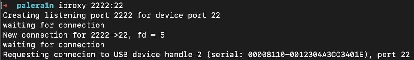 SSH Tunnel via iproxy tool.