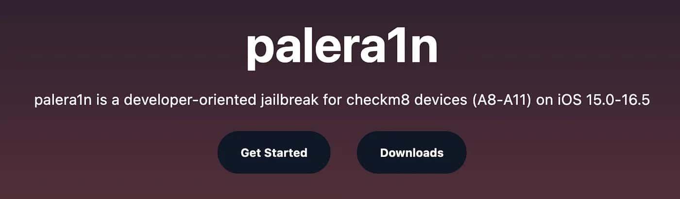 Palera1n website