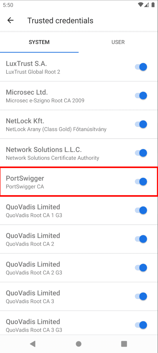 No network traffic from Flutter