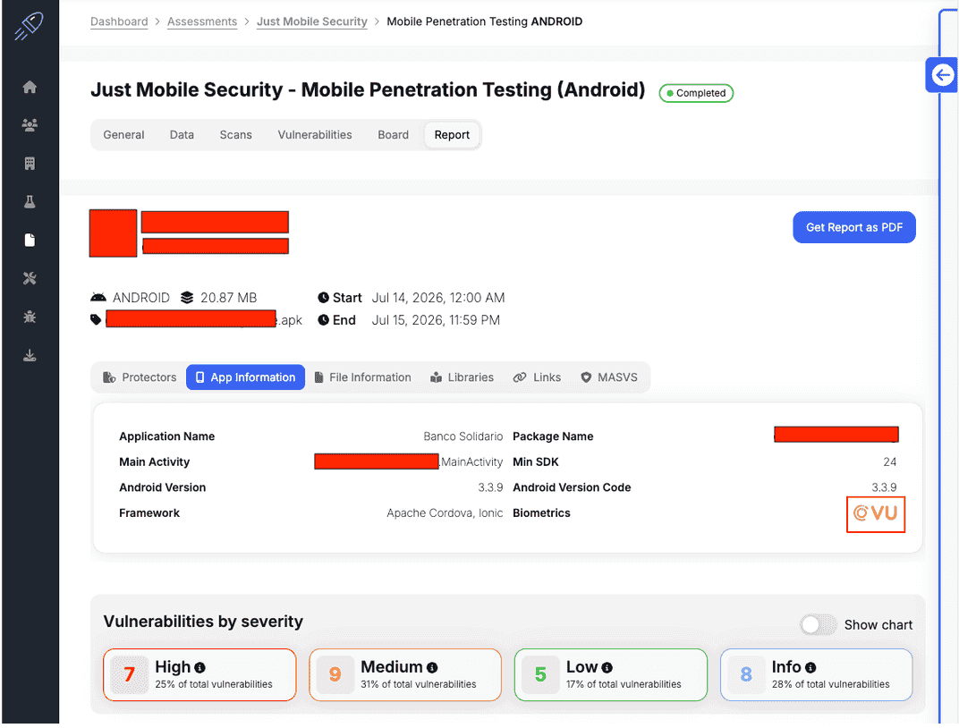 Figure 6. Application information view used to review framework, version, metadata, and preliminary severities during analysis.